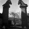 chigialbani_01